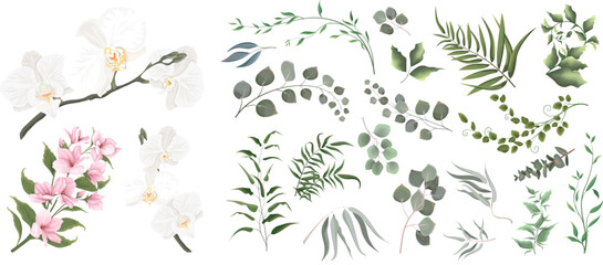 Wall Mural - A large collection of herbs and plants. Green plants on a white background. White orchids, magnolia, pink flowers, eucalyptus and other leaves 