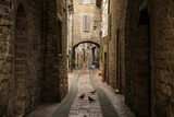 Fototapeta Uliczki - narrow street in a Italian town