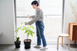 © maru54 - 部屋で観葉植物の世話をする若い女性
