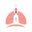 Scientific Designing of Exhalation. Colorful Symbols. Vector Illustration.