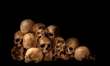 Many Old Human Skulls On Black Background