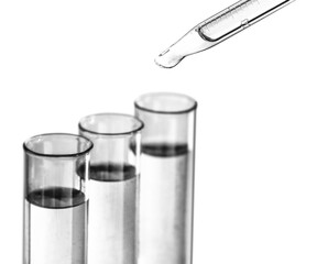 liquid drop from laboratory glass pipette to the test tube