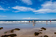 © Austockphoto - Seaweed along shoreline of beach on summers day with people swimming in water
