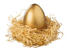 Beautiful Colored Golden Easter Eggs In The Nest