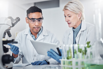 Teamwork, plant science and doctors with tablet for research. Collaboration, sustainability and scientists, man and old woman with touchscreen for gmo, experiment and researching botany in laboratory