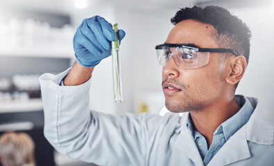 Sticker - Scientist, test tube analysis and working in laboratory for plants science innovation, agriculture research or ecology pharmacist study. Doctor, chemistry expert and botanical development in lab