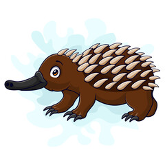 Poster - Cartoon funny echidna isolated on white background