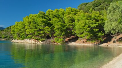 Wall Mural - Beautiful Skinos beach with pine trees forest, Ithaki island, Kefalonia, Greece