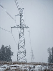 Wall Mural - High voltage electricity power line towers near forest at winter. Snow storm.