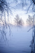 Leinwandbild Motiv Winter wonderland in Finland