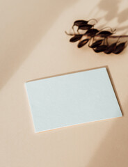 Wall Mural - Two blank white cards, dry brunch on beige background