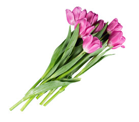 Poster - A fresh beautiful bouquet of tulips flowers