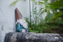 Gnome In The Garden