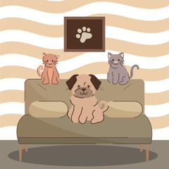 Poster - pets sitting on a sofa