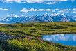 © Designpics - The Alaska Range as seen from the McLaren Ridge Trail off the Alaska Highway on a sunny summer day in South-central Alaska; Alaska, United States of America