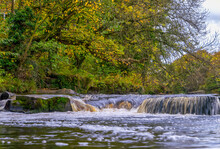 Water Cascading Over Rocks In A Flowing River With Autumn Coloured Foliage On The Trees; Richmond, North Yorkshire, England