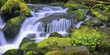 Moss-covered rocks with cascading water; Denver, Colorado, United States of America
