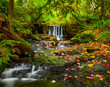 Waterfall in Anderson Creek in autumn; British Columbia, Canada
