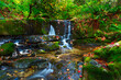 © Designpics - Cascading waterfalls in Anderson creek with lush foliage; Maple Ridge, British Columbia, Canada