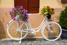 A White Decorative Bike Beside A Wall With Blossoming Flowers In Pots; Sibiu, Transylvania Region, Romania