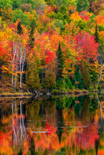 Vibrant Autumn Coloured Foliage In A Forest Along A Tranquil Lake Reflecting The Colours; Lac Labelle Region, Quebec, Canada