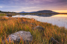 Limestone Rock And Long Grass On The Bank Of A Lake In The Burren With A Small Rock Mountain In The Distance Reflected In The Lake At Sunrise, Burren National Park; County Clare, Ireland