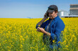 © Designpics - Farmer standing in a canola field using a smart phone and inspecting the yield; Alberta, Canada