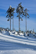 Góry Sowie - scena zimowa z drzewami