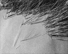 Close-Up Of Long Grass And Sand