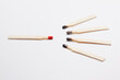 © Designpics - Unused Match with Burnt Matches