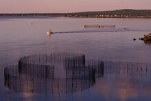 Weir Fishing, North Island, Grand Manan Island, New Brunswick, Canada