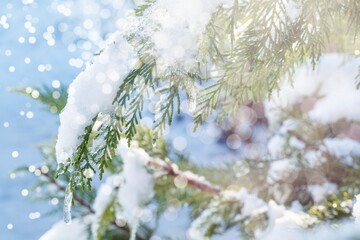 Wall Mural - Outside background with tree in white snow