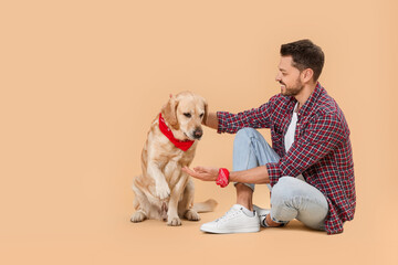 Poster - Cute Labrador Retriever giving paw to man on beige background