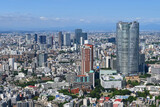 Fototapeta Nowy Jork - 夏の朝に東京タワーから渋谷方面を望む