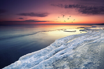 Canvas Print - Winter auf Insel Usedom