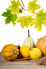 Canvas Print - Harvest, season, advertisement and autumn concept - close up of pumpkins and leaves on wooden table