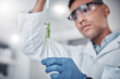 Scientist, test tube and plant analysis working in laboratory for science innovation, agriculture research or ecology pharmacist study. Doctor, chemistry expert and botanical development in lab