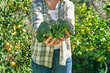 © Caterina Trimarchi - Woman holding ripe fresh green broccoli harvested in vegetable garden. Seasonal healthy eating. Organic gardening.