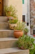 Flower pots on the stairway, Anghiari, Italy