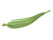 zucchini isolated on transparent png