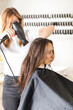 © Виктория Попова - The hairdresser dries the client's hair with a hair dryer and styles her hair with a comb.