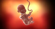 Beautiful calm black baby fetus slowly moving and rotating inside of mother's womb. Science and health related 3D Illustration Render.