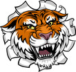 A tiger sports team cartoon animal mascot