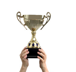 Wall Mural - Human hand holding golden trophy cup on white background