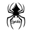 Modern poisonous black spider logo