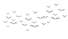 Group Of Birds Fly Over The Sky Png Illustration Useful For Your Creativity And Designing. Birds Fly Over The Sky On Transparent Background Showing Sign Of Freedom And Peace. Png Image.