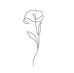 Wall Mural - Vector isolated small simple minimal one single line calla flower colorless black and white contour line easy drawing
