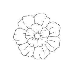 Wall Mural - Vector isolated simple minimal beautiful flower with petals  colorless black and white contour line easy drawing