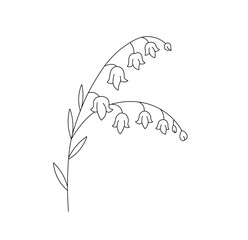 Wall Mural - Vector isolated simple minimal one lily valley branch twig with glowers and leaves  colorless black and white contour line easy drawing