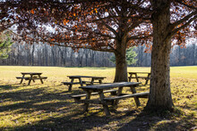 Old Picnic Tables In A Park Under An Oak Tree In The Late Fall With The Sun Casting Shadows.